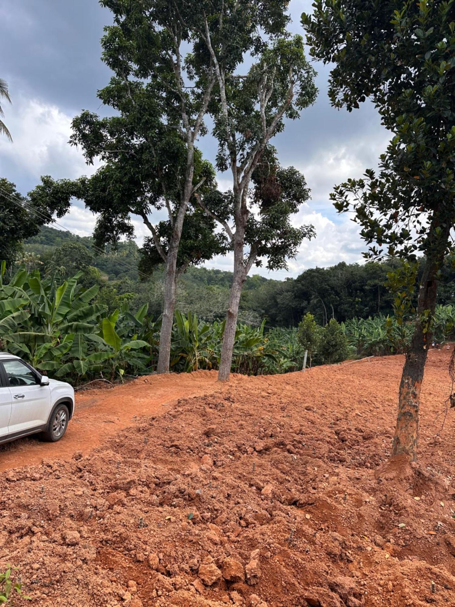 Kattil Farm Stay Varkala 特里凡得琅 外观 照片