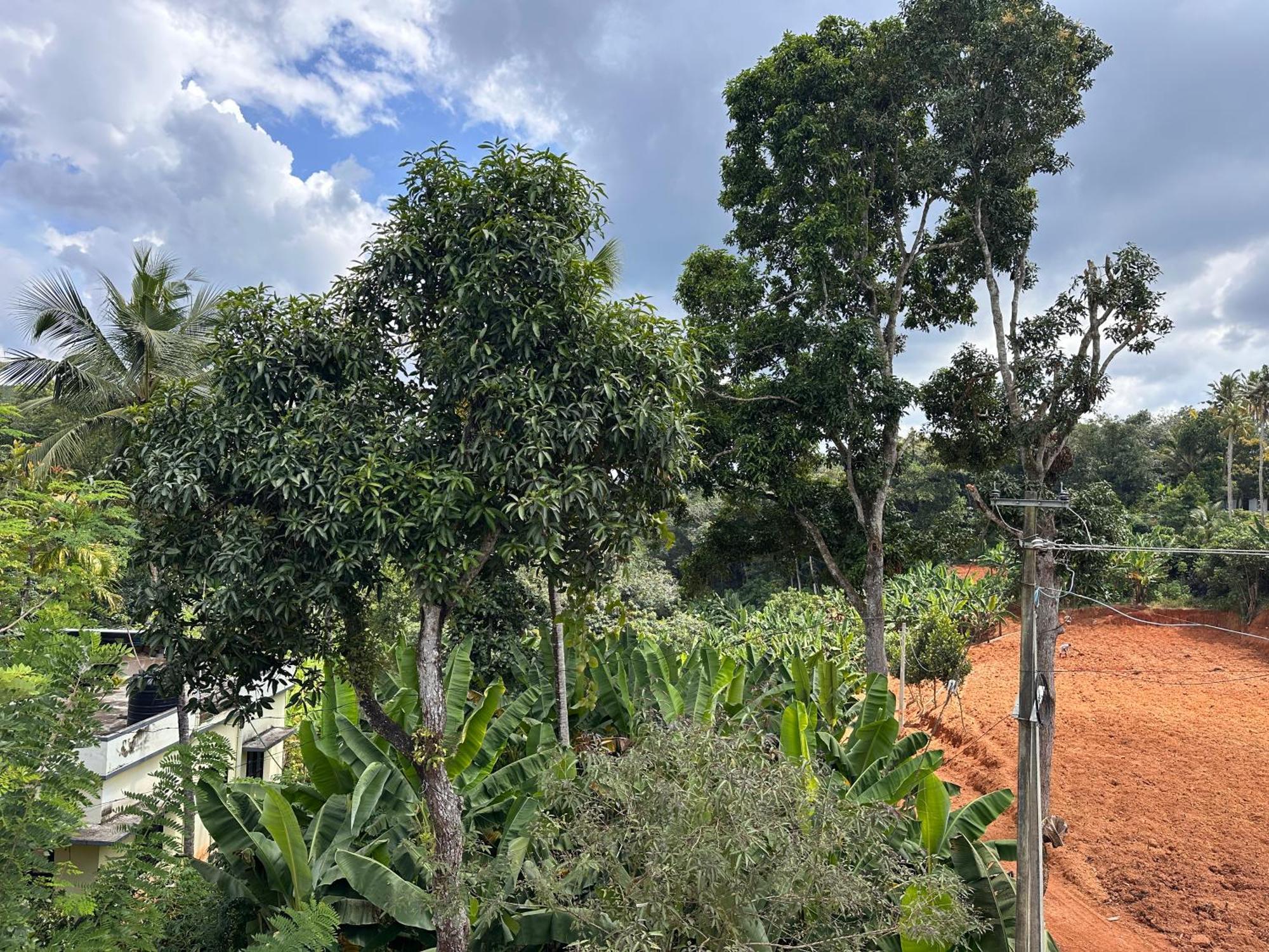 Kattil Farm Stay Varkala 特里凡得琅 外观 照片